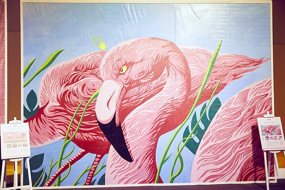 芝加哥火烈鸟墙